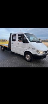 Mercedes-Benz Mercedes Sprinter 313 Cdi - Mercedes-Benz Sprinter aus 2006: 313