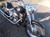 Harley-Davidson FAT BOY  5HD - HARLEY-DAVIDSON 2010 FAT BOY