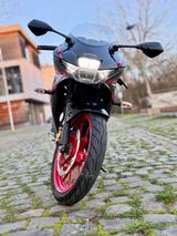 Suzuki GSX-R125 Top gepflegt  - SUZUKI GSX R 125