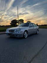 Mercedes-Benz E430 - Mercedes-Benz E 430 mit Benzin-Antrieb