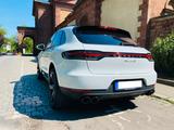 Porsche Macan S Approved BOSE Sitzlüftung - Porsche aus 2020