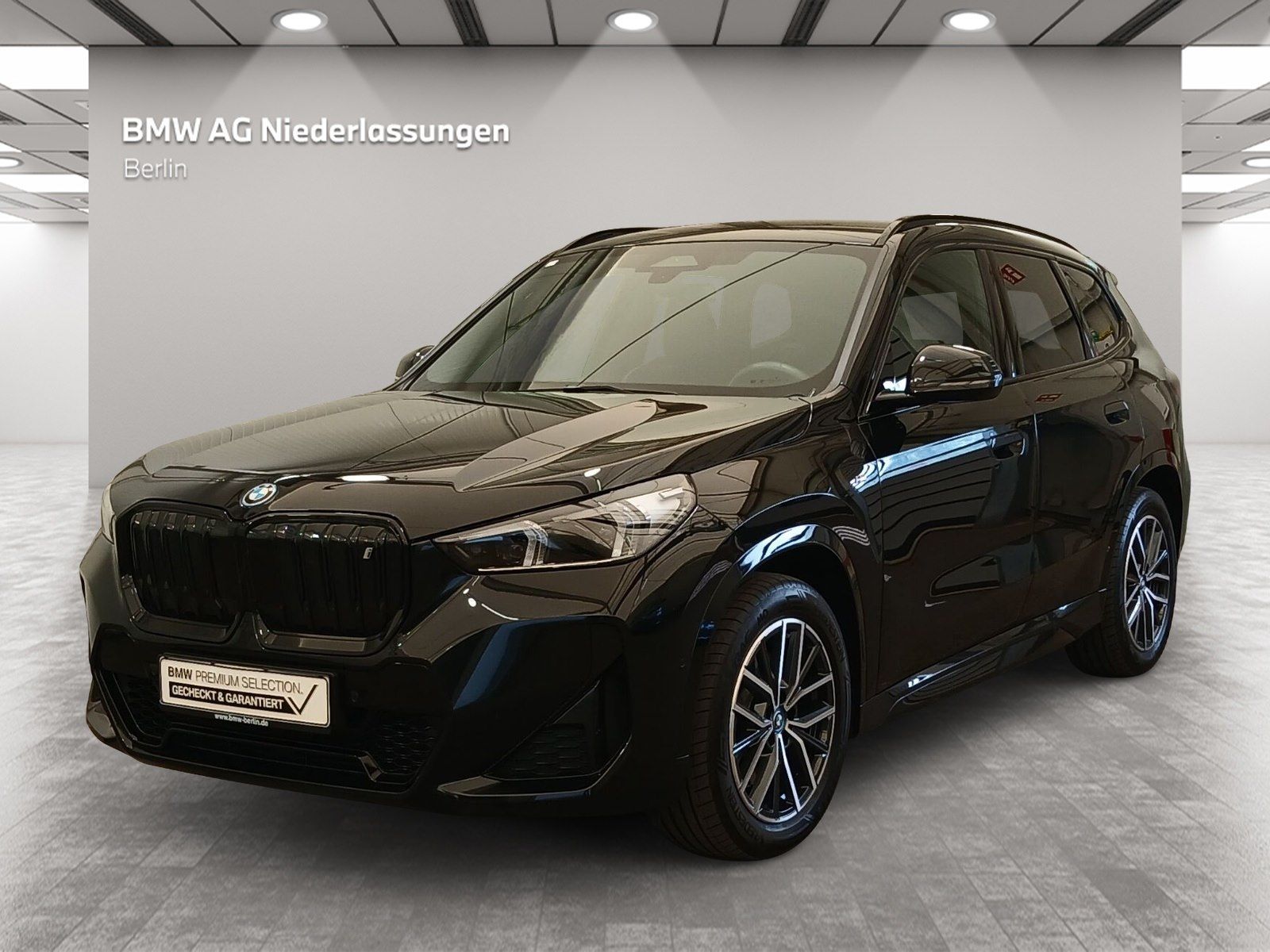 BMW iX1 xDrive30 M Sport Kamera Driv.Assist LED