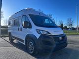 Fiat Bunkervan Urban Maxi Custom 4x2 Rundsitzgruppe - Fiat Max