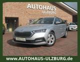Skoda Octavia Combi 2.0 TDI/Klima/PDC/Tempo/GJR/LED/1H