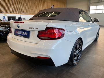 BMW Cabrio 220 d M Sport *1.HAND*19%MWST*NAVI*KAMERA