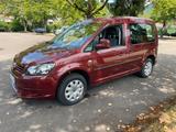 Volkswagen Caddy 1,6TDI 75kW DSG BMT Roncalli Edition 5... - Volkswagen Caddy: Roncalli