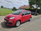Fiat Panda Pop - Fiat Panda: Pop