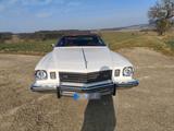 Andere Buick Regal - Andere aus 1975