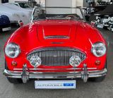 Austin Healey 3000 MK II (BJ7) Frame-off und Matching Numbers - Austin Healey aus 1962
