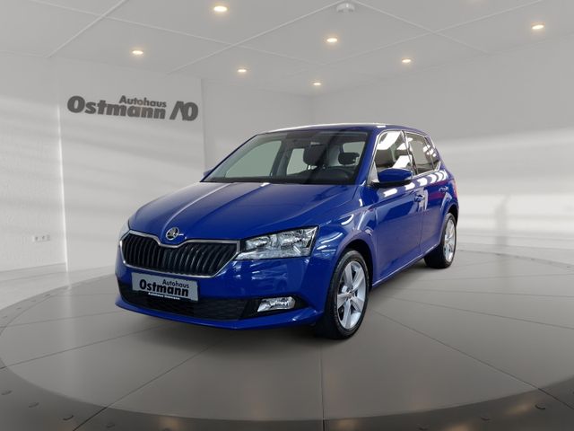 Skoda Fabia 1.0 MPI Cool Plus LM PDC SHZ Klimaanlage