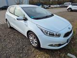 Kia cee'd / Ceed 1.6 GDI Dream Team Edition Drea... - Kia in Bonn: Cee