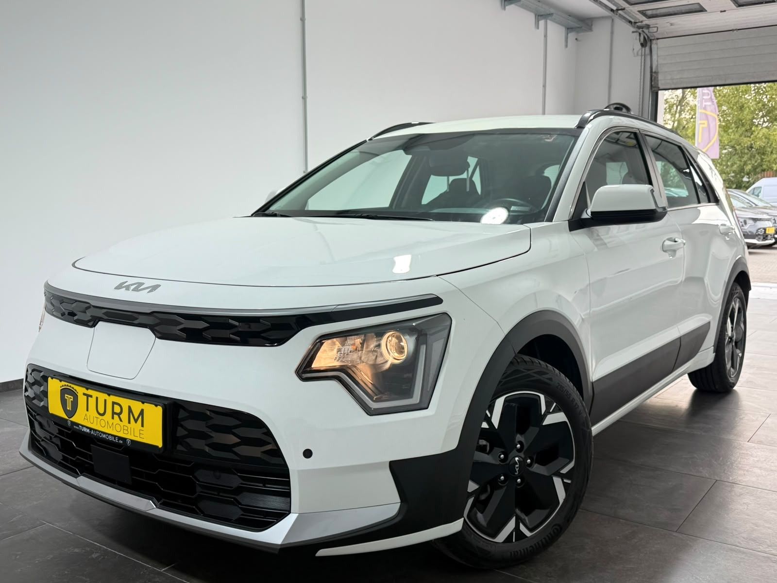 Kia Niro EV 65kWh|SOH96%|AHK|WärmePu|Garantie08/29