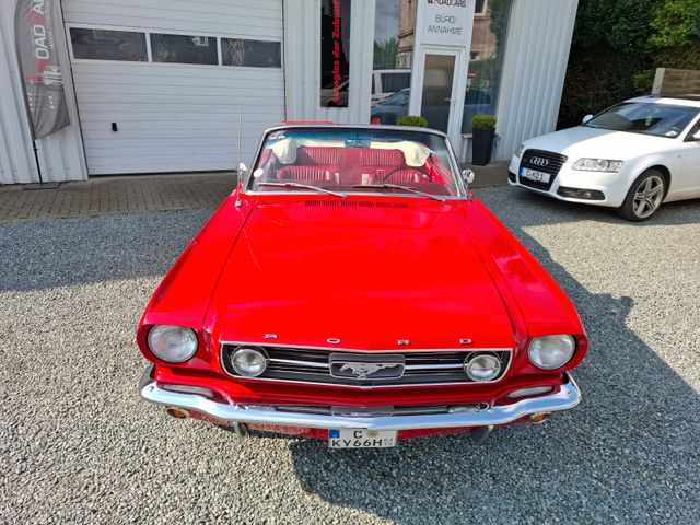 Ford Mustang Cabrio *Leder*Elektr. Verdeck*