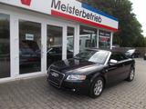 Audi A4 Cabriolet 3.0 TDI quattro S Line Leder Navi - Audi A4: 3 Türen