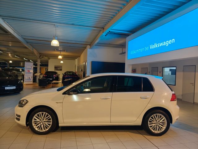 Golf VII Cup *Stanheizung* Dynaudio*Xenon*