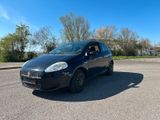 Fiat Grande Punto Evo 1.2 8V Active  TÜV ... - Fiat Grande Punto: Evo