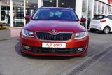 Skoda Octavia Combi 1.8 TSI Joy Bi-Xenon SmartLink ACC - Skoda Octavia: Joy