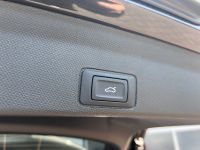 Cupra Terramar VZ 2.0 TSI DSG 4Drive PANO AHK 5J GAR bei Autohaus Landmann & Maier OHG