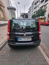 Fiat auto Fiat panda kleine Auto Aber Gut - Fiat Panda Gebrauchtwagen in Dortmund