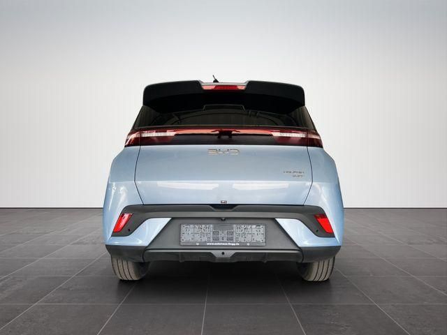 BYD DOLPHIN SURF