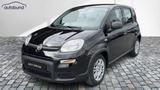 Fiat Panda 1,0  Hybrid (MHEV) Pandina Base NBA PDC SH - Fiat Panda Gebrauchtwagen in Bochum