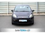 Fiat Punto EVO MYLIFE KLIMA*MULTI-LENKRAD*SERVO*ZV*CO - Fiat Punto Gebrauchtwagen in Hamburg