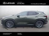 Lexus NX 450 Executive *Interieur-Paket*HUD* /FLA/LM/ - Lexus: Nx