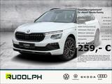 Skoda Kamiq 1.0 TSI DSG Tour ACC Keyless El. Heckklapp - Skoda Kamiq in Halle