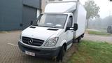 Mercedes-Benz mercedes sprinter 515 cdi mit lbw ladebord... - Mercedes-Benz Sprinter: 515 Cdi