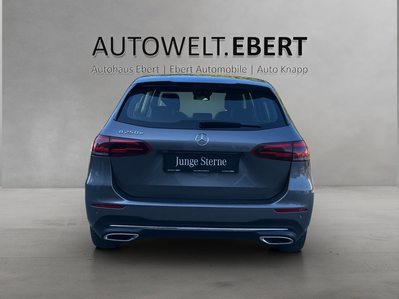 Fahrzeugabbildung Mercedes-Benz B 250 e Progr. AHK PAno LED HighEndMBUX Business