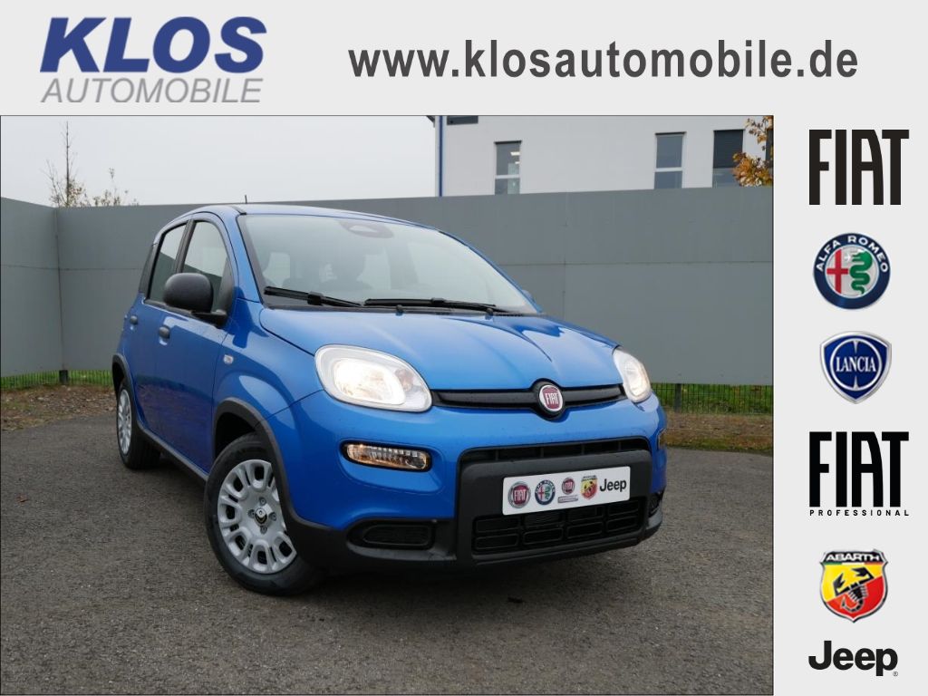 Image of Fiat Panda