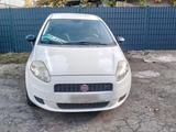Fiat fiat Punto 1.2 8V  Benzin TÜV 08.26 - Fiat Punto in Herne