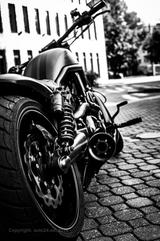 Harley-Davidson VRSCDX Night Rod Special CUSTOM - HARLEY-DAVIDSON CHOPPER CUSTOM