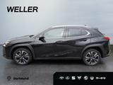Lexus UX 250h Style Edition *Bi-LED*ACC*CAM*SHZ*CarPla - Lexus Gebrauchtwagen in Dortmund