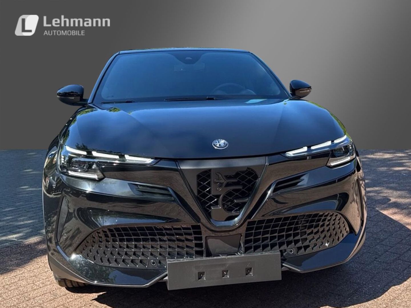 Fahrzeugabbildung Alfa Romeo Junior Elettrica SPECIALE- Panoramadach - sofort