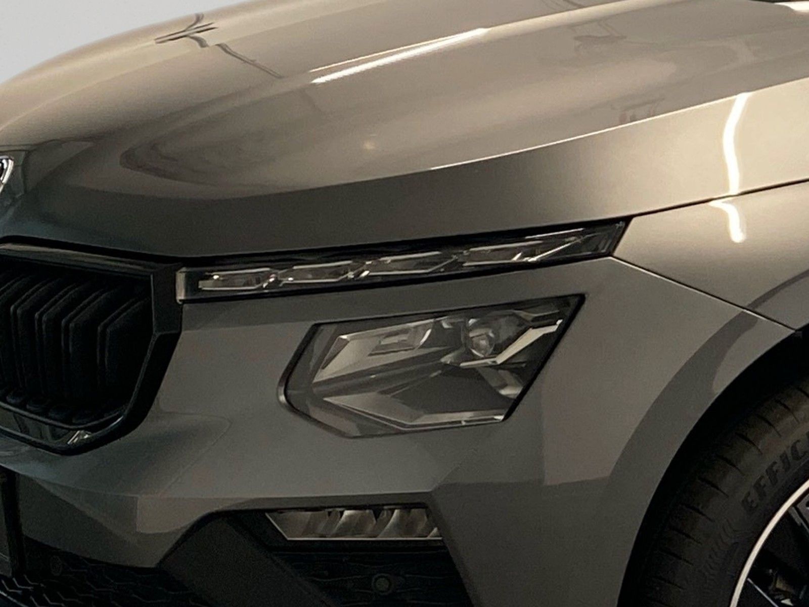 Skoda Kamiq - Bild 6