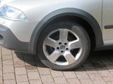 Skoda Octavia 4 X 4 2.0TDI 4X4 OCTAVIA SCOUT AHK GRA P - Skoda Octavia aus 2007