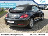 Volkswagen Beetle Cabriolet 1.4 TSI DSG Design Navi Xenon u - gebrauchte VW Beetle aus dem Jahr 2018