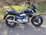 Suzuki GW250 Inazuma Bj. 2014 nur 16.000km - SUZUKI 250