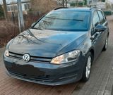 Volkswagen VW Golf 7, TGI, AHK, Erdgas, Klima, Zahnri... - Volkswagen Golf: Erdgas