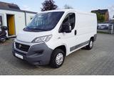 Fiat Ducato 120 L1H1 , Klima, AHK, 3-Sitze, Funk-ZV - Fiat Ducato: Van