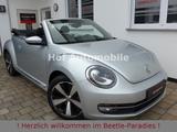 Volkswagen Beetle 1.4TSI DSG Cup Xenon Navi SHZ 1.Hand - Volkswagen Beetle mit Benzin-Antrieb: Cabrio, 1.4