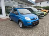 Fiat Panda 1.0 GSE Pandina Hybrid City Paket Radio - Fiat Panda mit Benzin-Antrieb: Kleinwagen