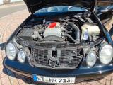 Mercedes-Benz CLK 230 KOMPRESSOR ELEGANCE Elegance - Mercedes-Benz CLK 230: Cabrio, Kompressor