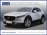 Mazda CX-30 Selection 2WD NAVI SHZ PDC HEAD-UP - Mazda CX-30 in Essen