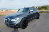 Audi SQ5 3.0 TDI - Motor neu mit Gewährleistung - Audi: TDI Motor