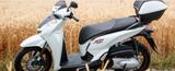 Honda SH 300i ABS - HONDA SH 300I