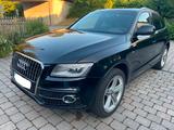 Audi Gepflegter Audi Q5 8R 3.0 TDI V6 Quattro / AHK 