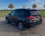 BMW X5 xDrive40d - 7 Sitzer, Tüv neu, 8 fach bereift - BMW X5: 7 Sitzer