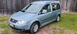 Volkswagen Caddy Life / LPG (1,09 pro Liter)/ Spar u.... - Volkswagen Caddy mit LPG-Antrieb